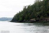 USNW1182939 Skagit Bay