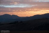 USNW1180250 National Elk Refuge