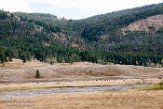 USNW1181321 Lamar Valley