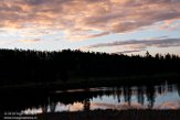 USNW1181437 Sunrise at Hayden Valley