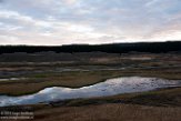 USNW1181444 Hayden Valley