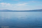 USNW1181528 Yellowstone Lake, view from Sedge Bay