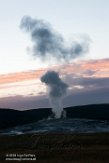 USNW1180853 Old Faithful geyser