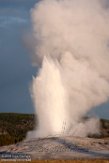 USNW1180876 Old Faithful geyser