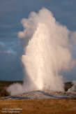 USNW1180884 Old Faithful geyser