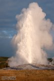 USNW1180885 Old Faithful geyser