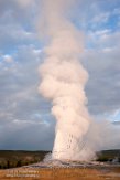 USNW1180899 Old Faithful geyser