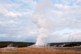 USNW1180900 Old Faithful geyser