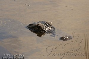 USA - Florida